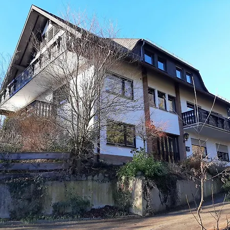 Waldblick Hallenberg