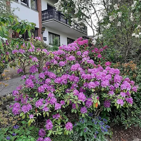 Waldblick Appartamento Hallenberg