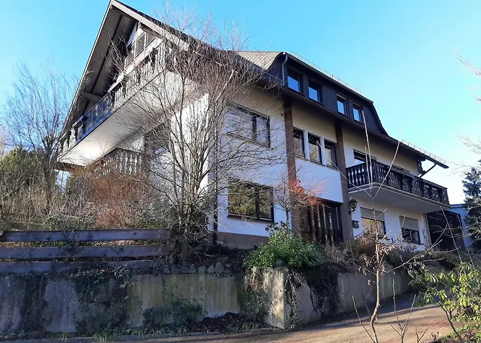 Waldblick Hallenberg