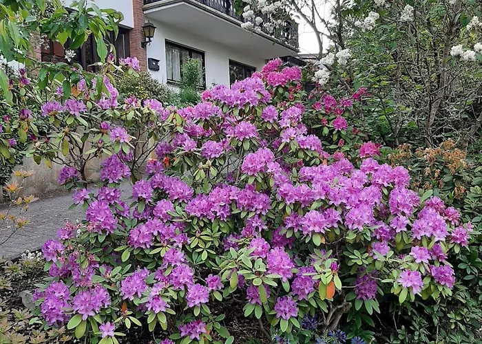Waldblick Lejlighed Hallenberg
